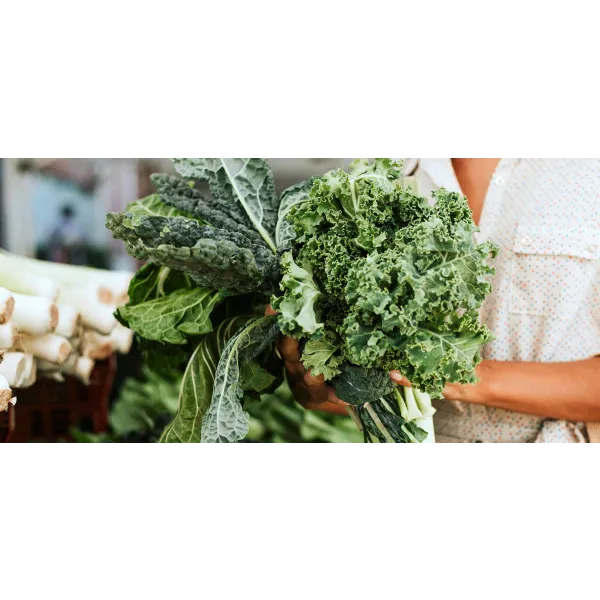 Whirlpool recepty - buď profi kuchařem se spotřebiči Whirlpool